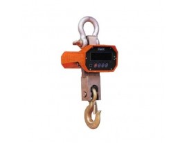 Крановые весы CW50